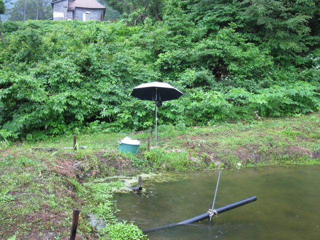 f0214235_23584841.jpg