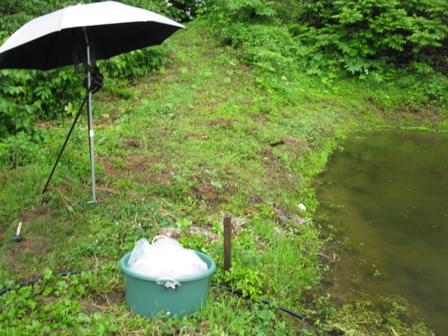 f0214235_23593121.jpg