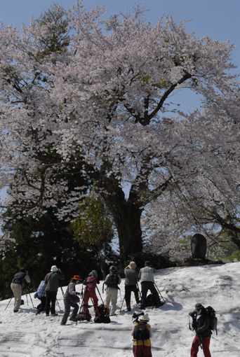辰野 清さんと訪ねる越後路、春色あふれる松之山へ_b0199137_16564569.jpg