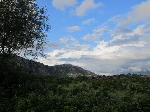 e0120938_19443928.jpg