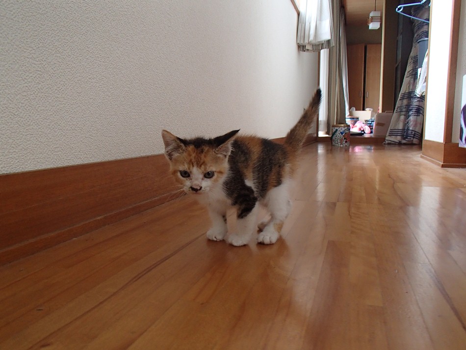 d0077740_9401565.jpg