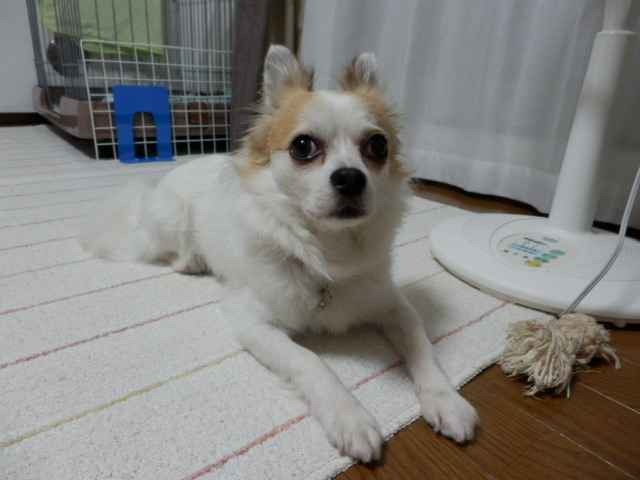 d0169340_15830.jpg