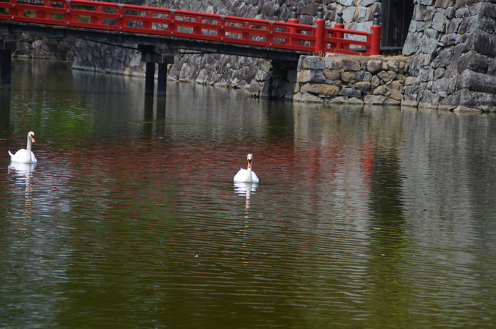 2012―父の日_c0202242_11562571.jpg