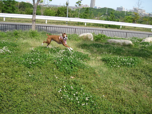 b0183745_00566.jpg
