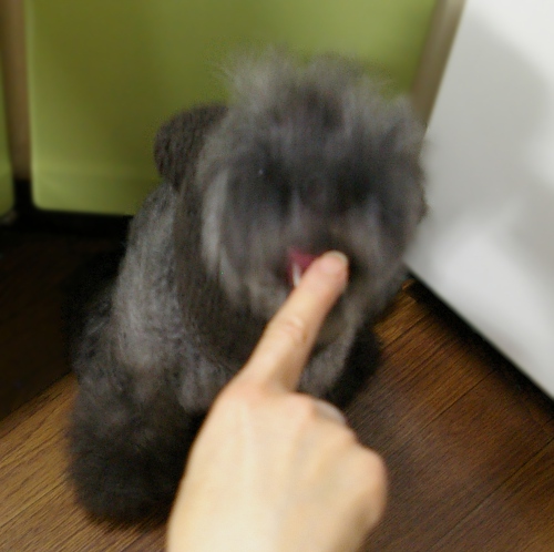 d0026745_14443426.jpg