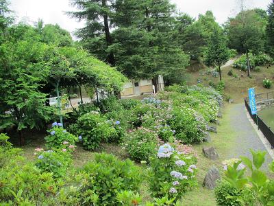 写ガールになるぞぉ～（和歌山）_f0064449_827042.jpg