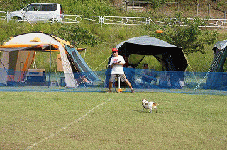 d0146153_13234165.gif