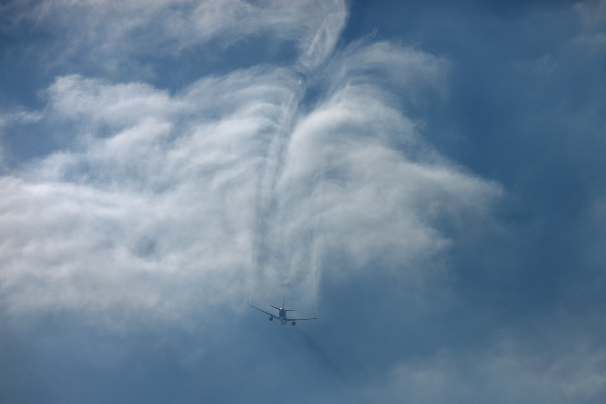 e0104755_20155653.jpg