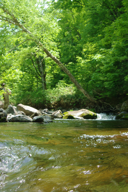 c0240462_23533121.jpg
