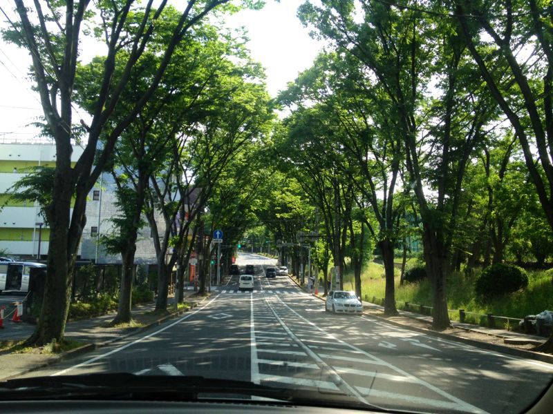 (^∇^)よい一日☆_c0151965_028094.jpg