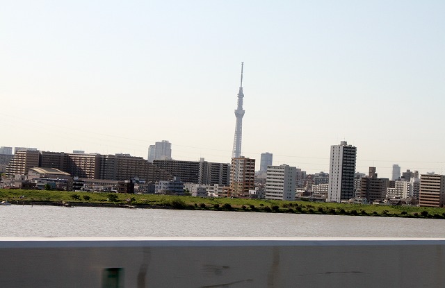 石垣島の帰途・・・・・東京に帰って_f0000866_824178.jpg