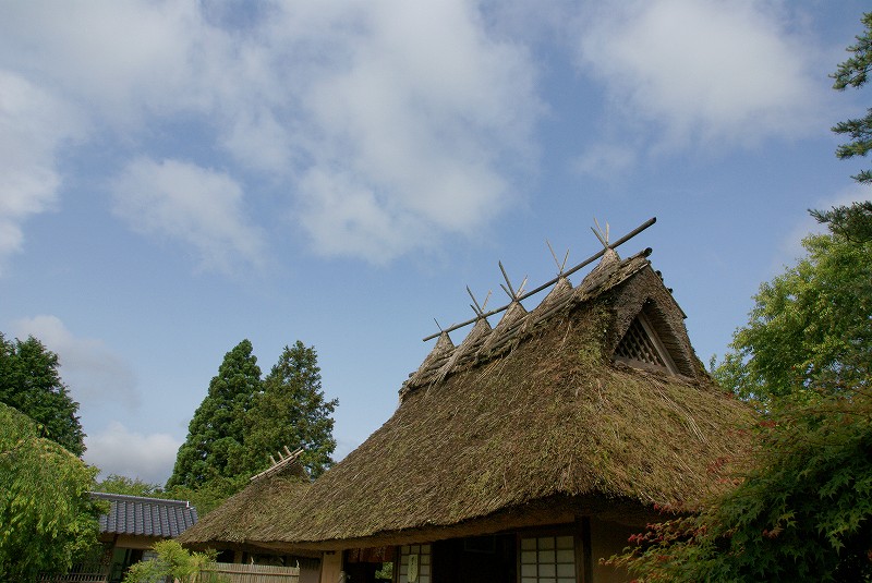 b0198768_21472695.jpg