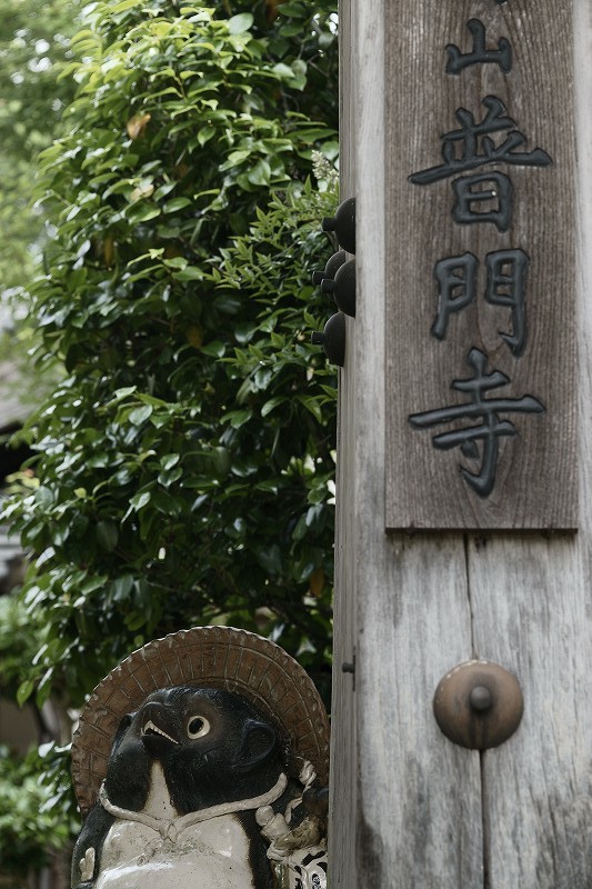b0198768_215329100.jpg