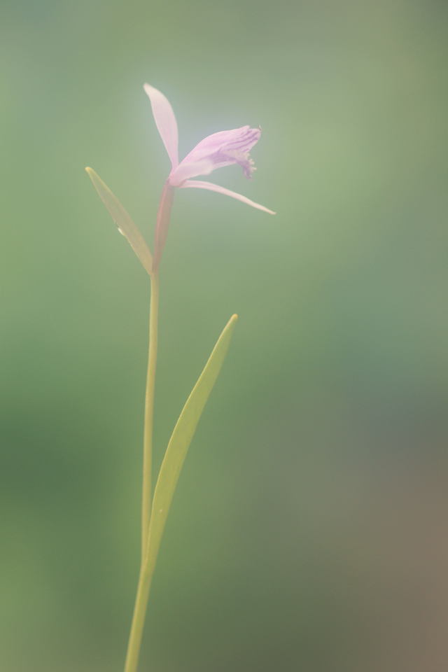 b0223668_7102080.jpg