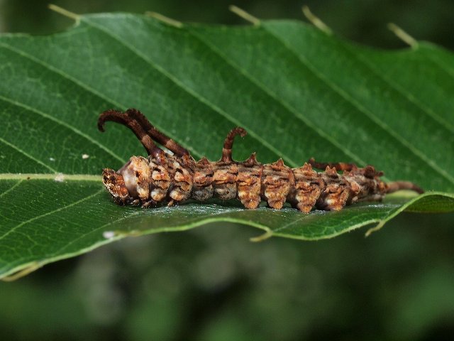 b0135573_845524.jpg