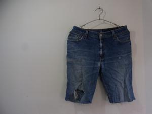 shorts_a0182474_16344764.jpg