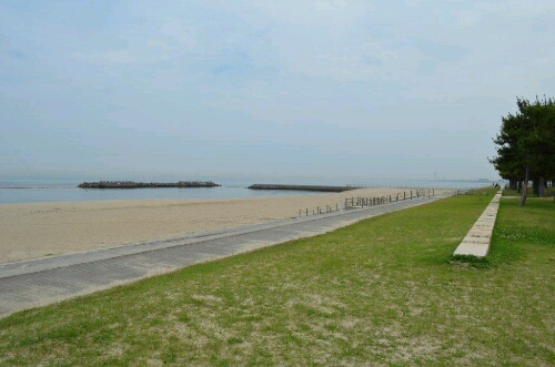 せんなん里海公園bbq おやじ アウトドア せんなん里海公園bbq おやじ アウトドア