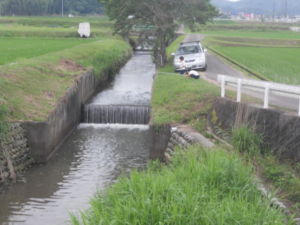 用水路で大物がかかった_f0234981_0301860.jpg