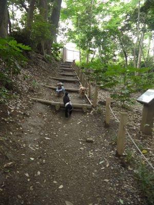 b0097482_14473172.jpg