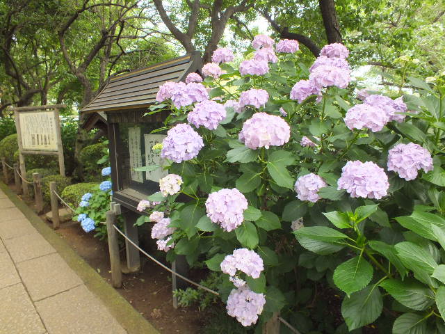 e0145782_16553683.jpg