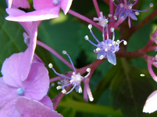 e0145782_174233.jpg