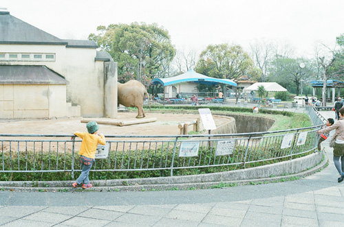 ZOO　その１_f0164282_16403113.jpg