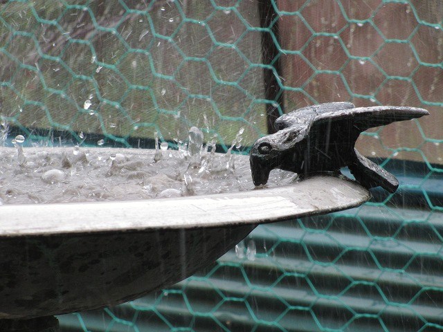 b0182884_18384357.jpg