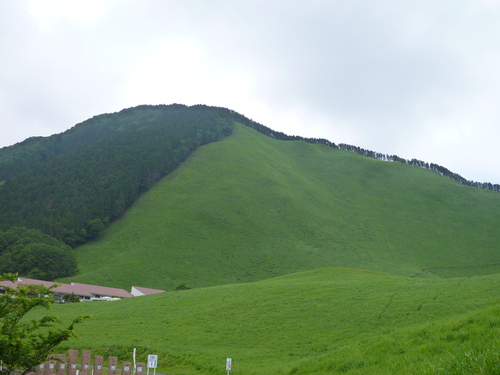 d0159384_14102156.jpg