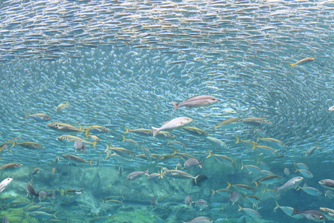 e0197884_12273860.jpg