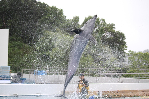 e0197884_12494499.jpg