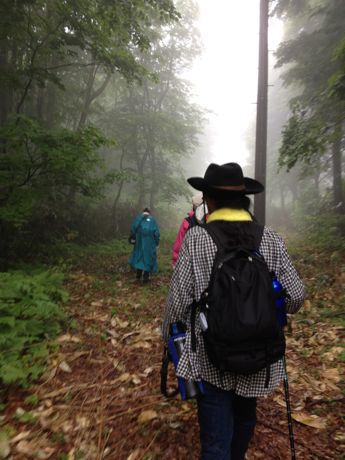 第26回幻の県道探索ハイキング_c0234987_622191.jpg