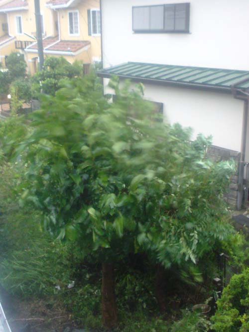 e0078187_1849749.jpg