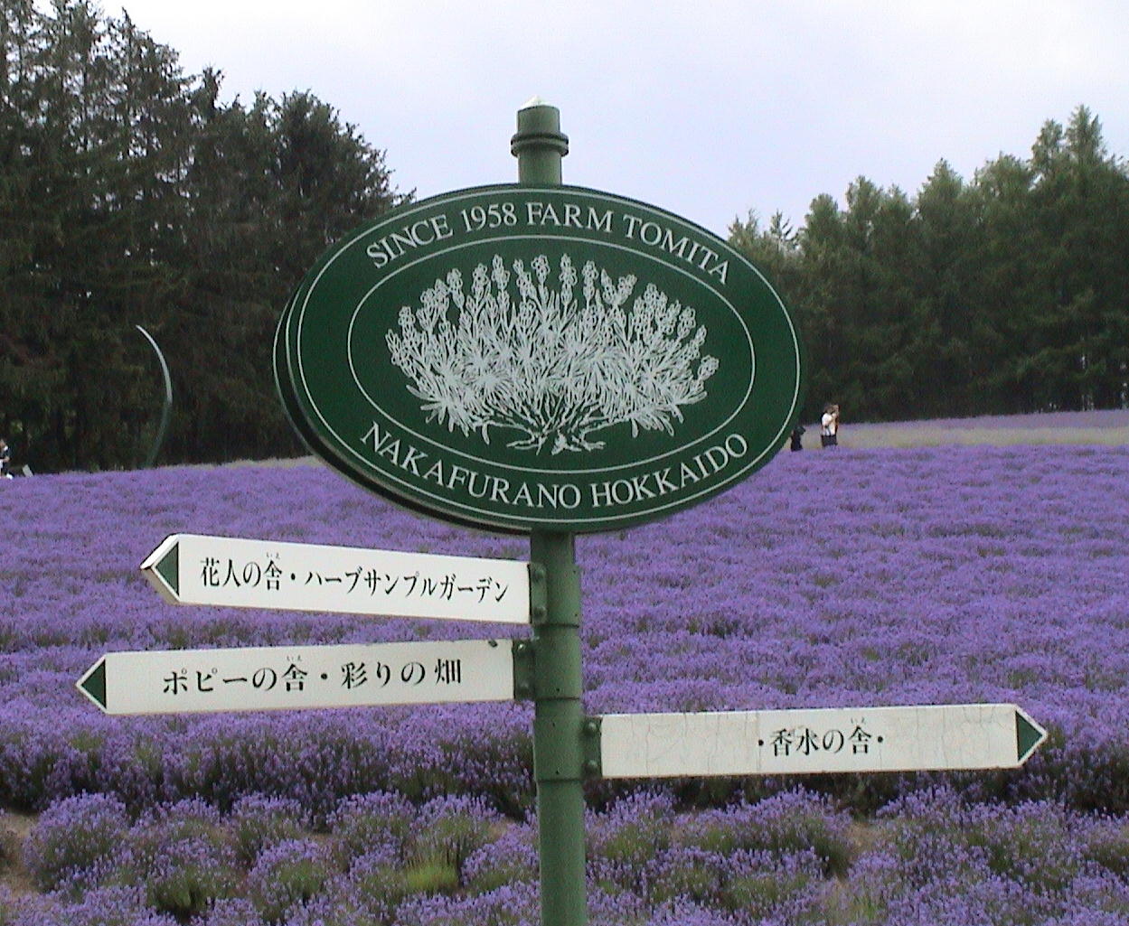 c0171889_11555114.jpg