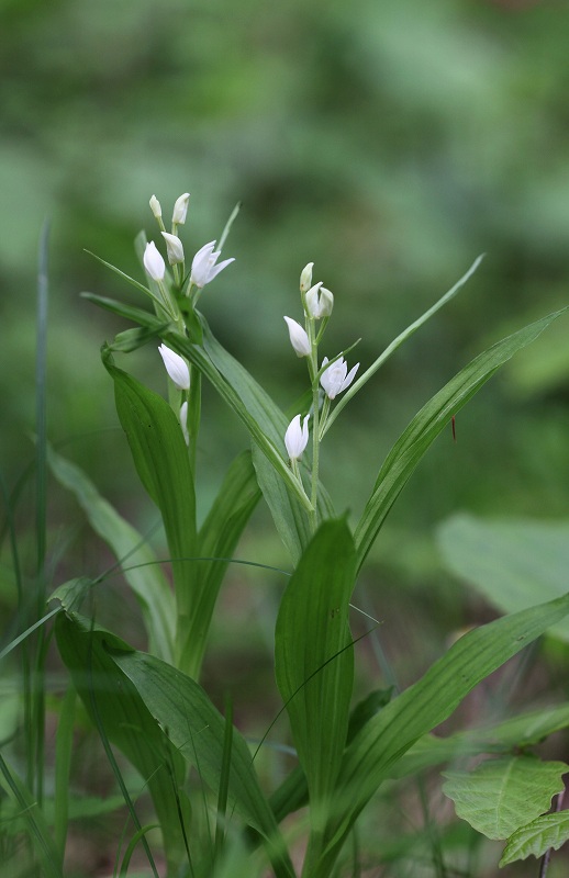 f0000789_20113137.jpg