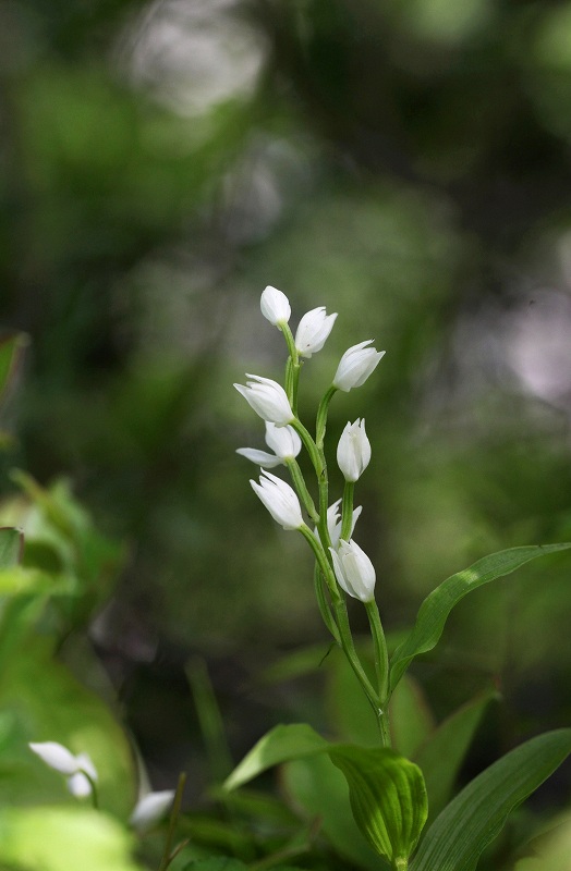 f0000789_20114836.jpg