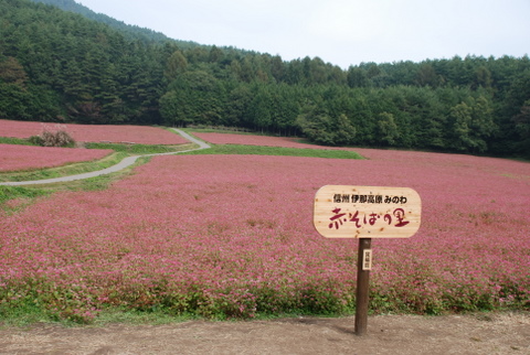 b0177596_15282442.jpg