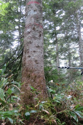 c0213096_15165787.jpg