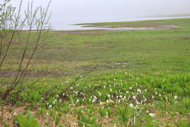 c0213096_17552046.jpg
