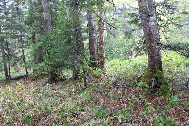 c0213096_19311667.jpg