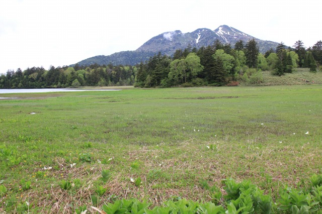 c0213096_21375318.jpg