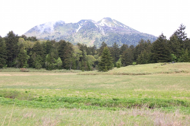 c0213096_2143587.jpg