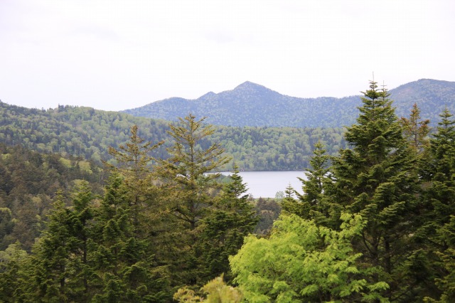 c0213096_225167.jpg
