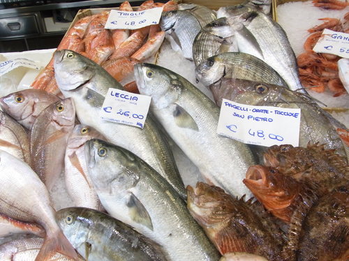 塩麹ごはんで巻き寿司& トリノの鮮魚市場☆ Pescheria Gallina_b0246303_22123676.jpg