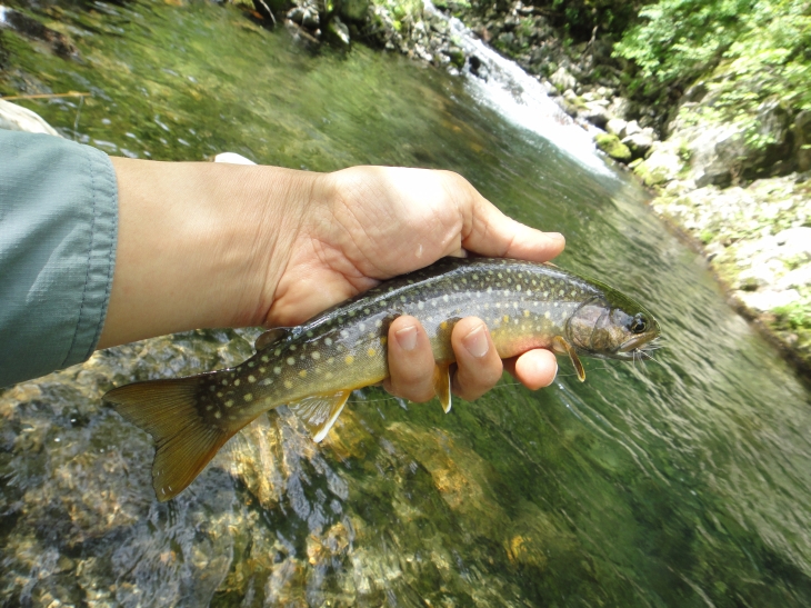 b0172805_10285044.jpg