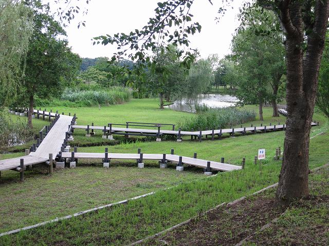 a0227507_2320719.jpg