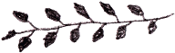 a0182408_2114685.gif