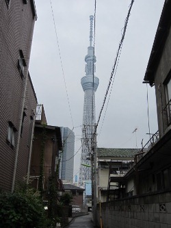 下町の路地の合間から・・・。_d0091909_14123829.jpg
