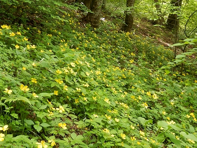 d0264710_2392695.jpg