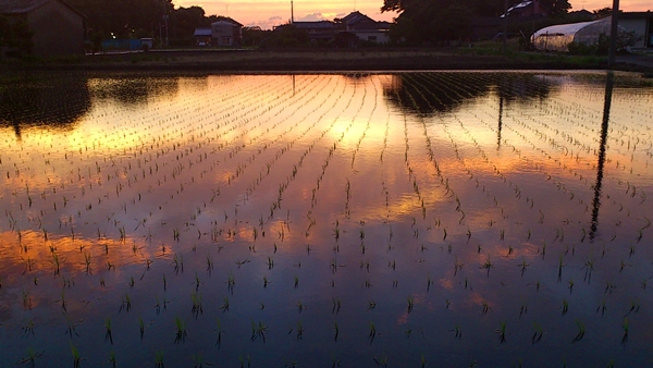 b0244811_22132511.jpg