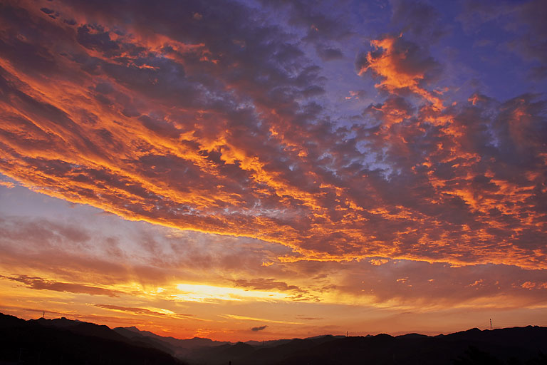 b0010915_20333871.jpg